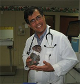 second Feature Image